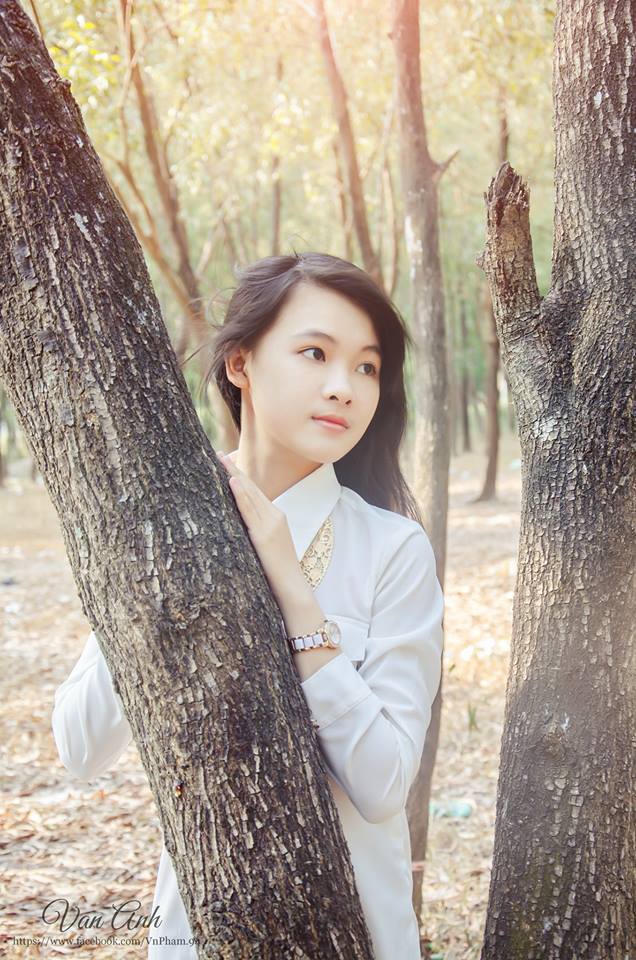 爱的激荡